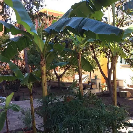 Konukevi Figlie Maria Missionarie