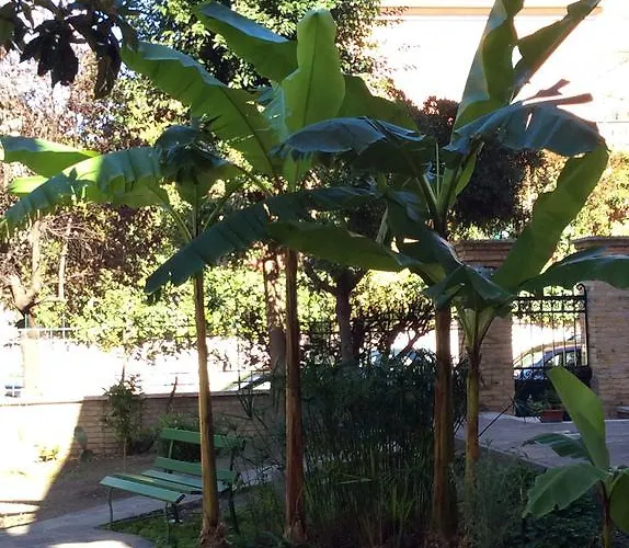 Affittacamere Figlie Maria Missionarie Roma